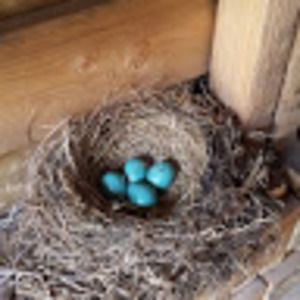 Meet your Posher, C.